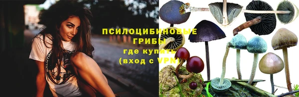 мет Алзамай