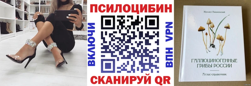 Псилоцибиновые грибы Magic Shrooms  где продают   Буй 